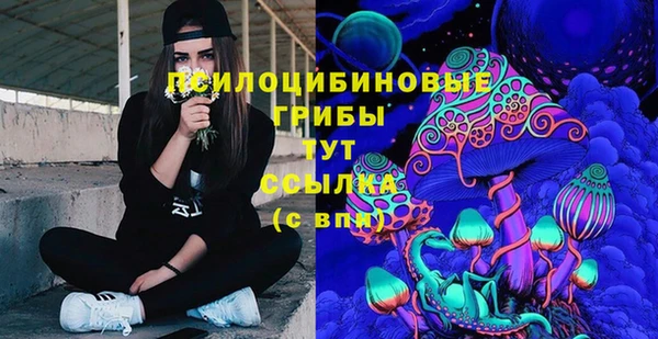 молекула духа Навашино