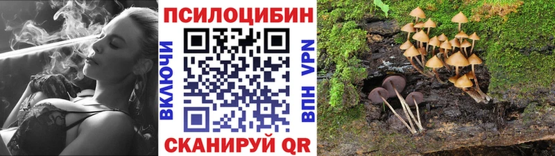Псилоцибиновые грибы мухоморы  Чехов 